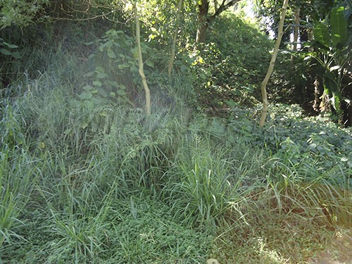 Terreno de 298m² em Mandaqui