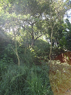 Terreno de 298m² em Mandaqui