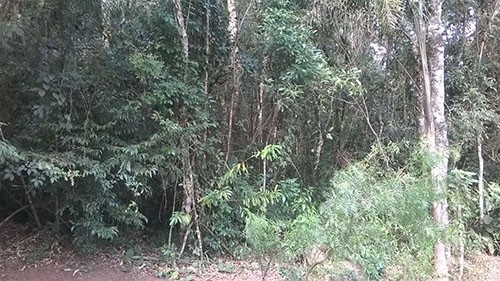 Terreno de 1.42m² em Serra da Cantareira