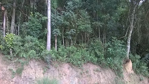 Terreno de 1.42m² em Serra da Cantareira