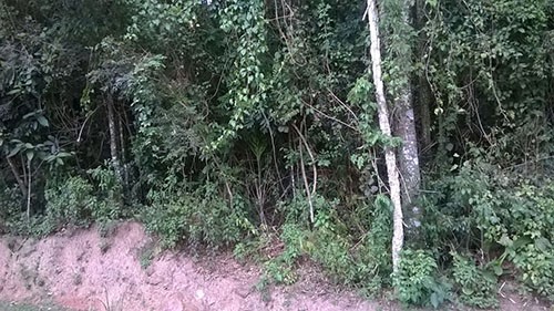 Terreno de 1315m² em Serra da Cantareira