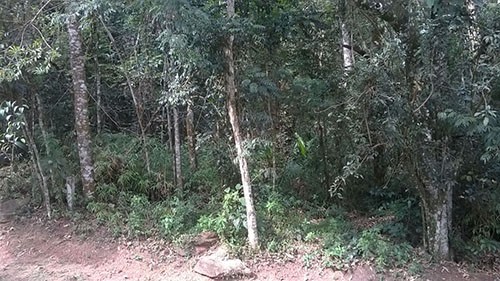 Terreno de 1315m² em Serra da Cantareira