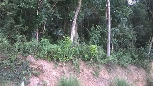 Terreno de 1315m² em Serra da Cantareira
