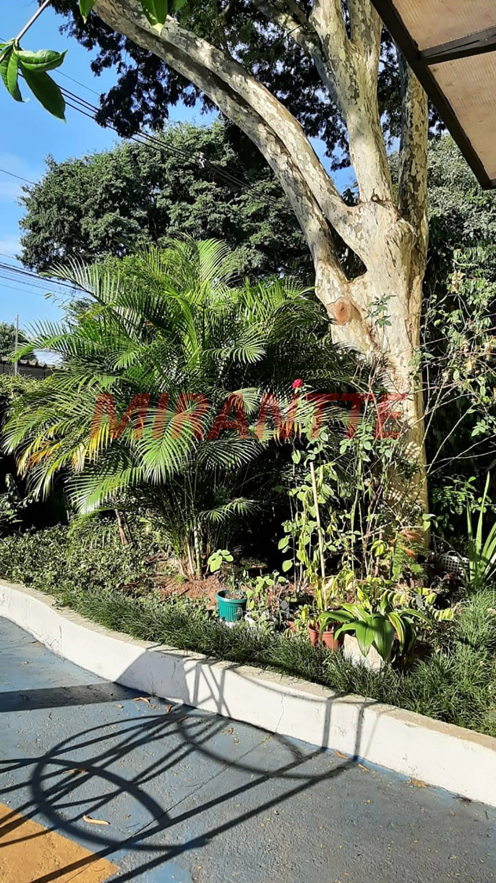 Apartamento de 75m² com 3 quartos em Jaçana