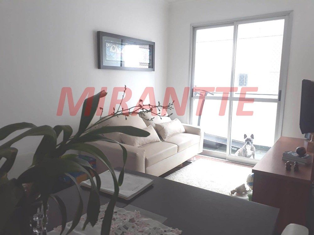Apartamento de 58m² com 3 quartos em Pirituba