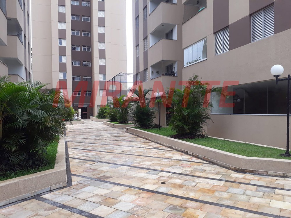Apartamento de 58m² com 3 quartos em Pirituba