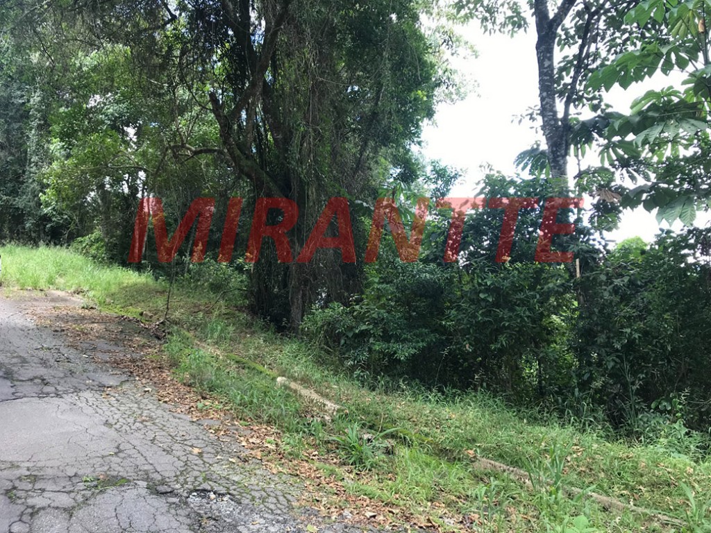 Terreno de 1.297m² em Serra da Cantareira