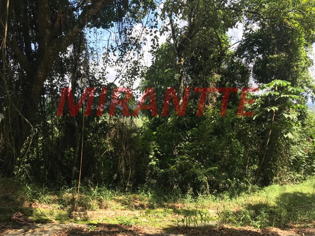 Terreno de 1.297m² em Serra da Cantareira