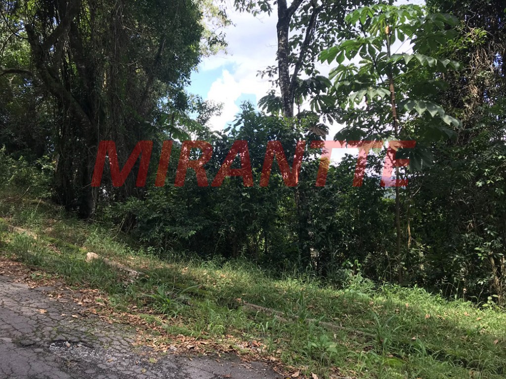 Terreno de 1.297m² em Serra da Cantareira