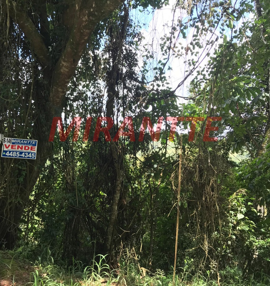 Terreno de 1.297m² em Serra da Cantareira
