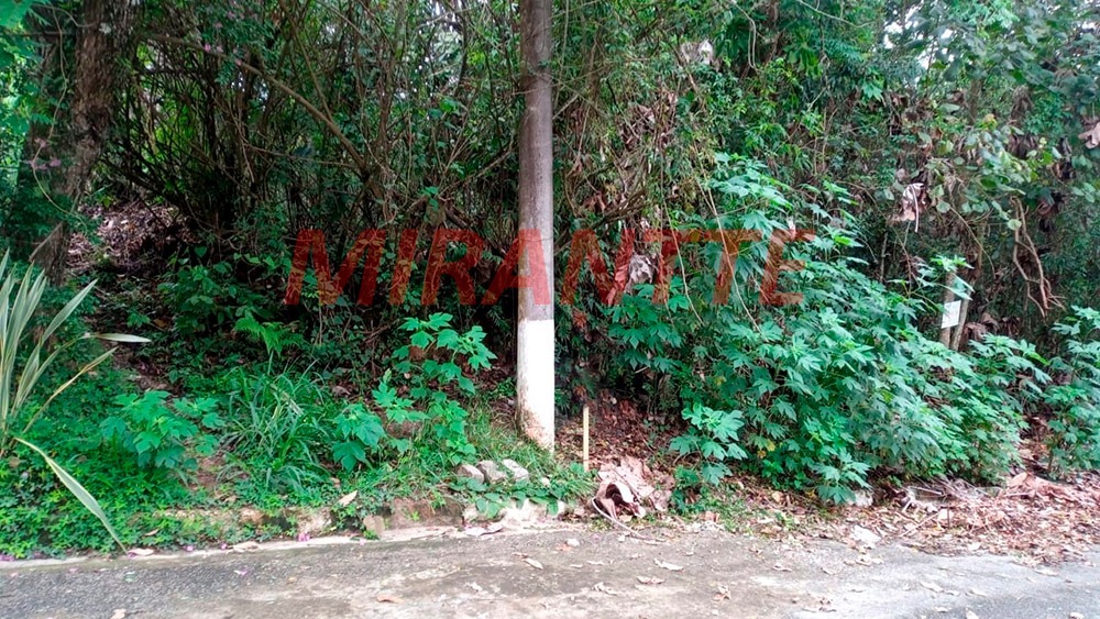 Terreno de 1500m² em Serra Da Cantareira