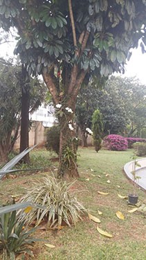 Apartamento de 38m² com 1 quartos em Santana