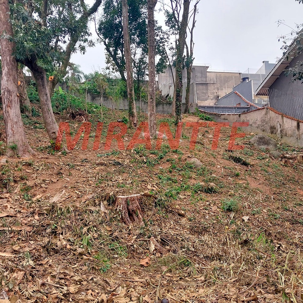 Terreno de 700m² em Horto Florestal
