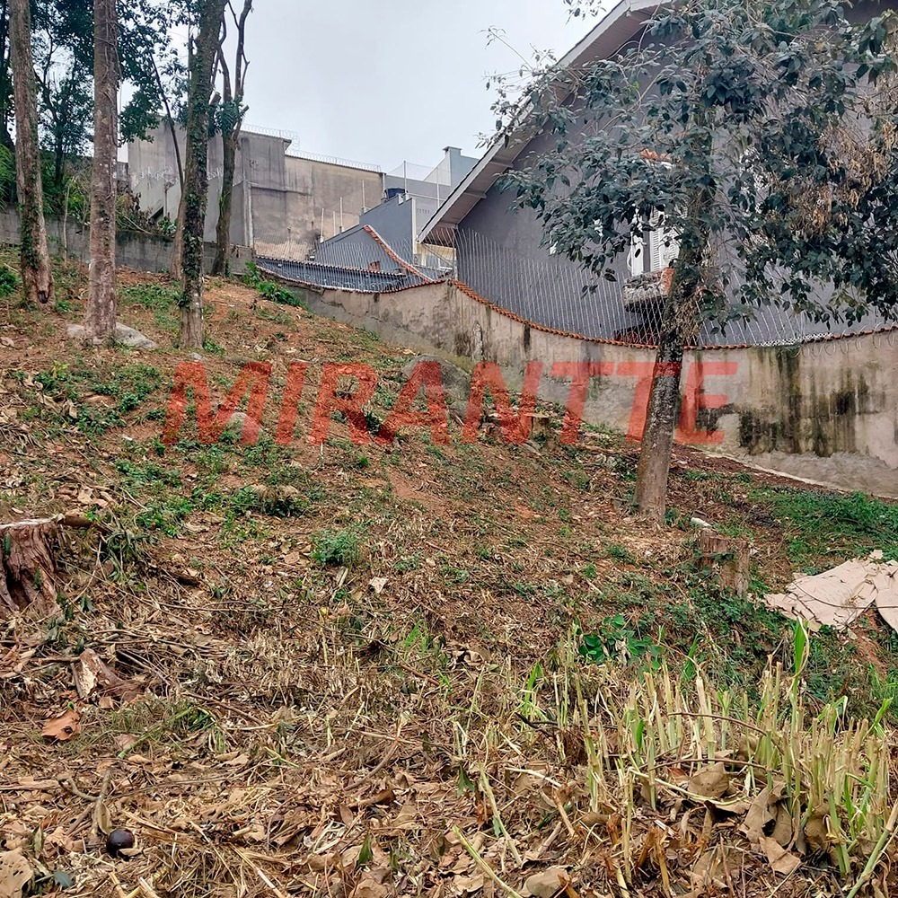 Terreno de 700m² em Horto Florestal