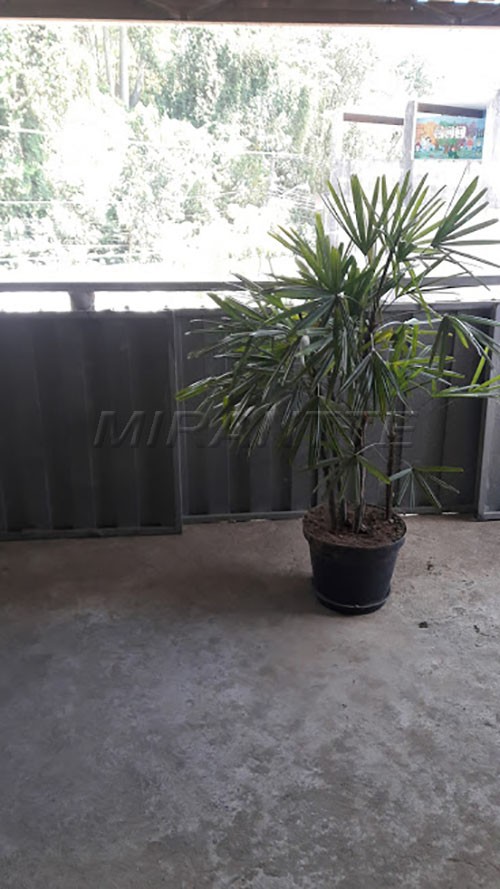 Sobrado de 250m² com 4 quartos em Furnas