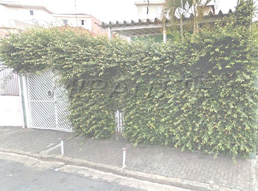 Terreno de 330m² com 3 quartos em Tucuruvi
