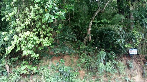 Terreno de 1516m² em Serra Da Cantareira