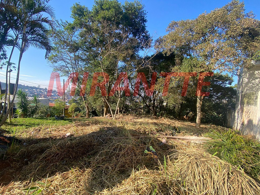 Terreno de 446m² em Jardim Ibiratiba