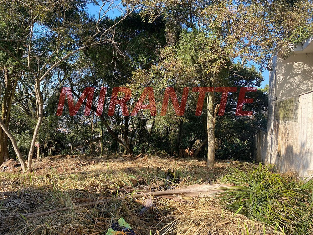 Terreno de 446m² em Jardim Ibiratiba