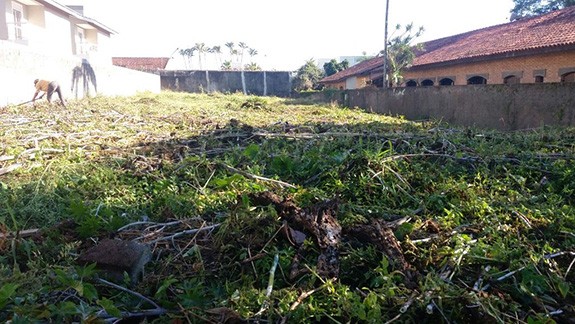 Terreno de 1002m² em Jardim Estância Brasil