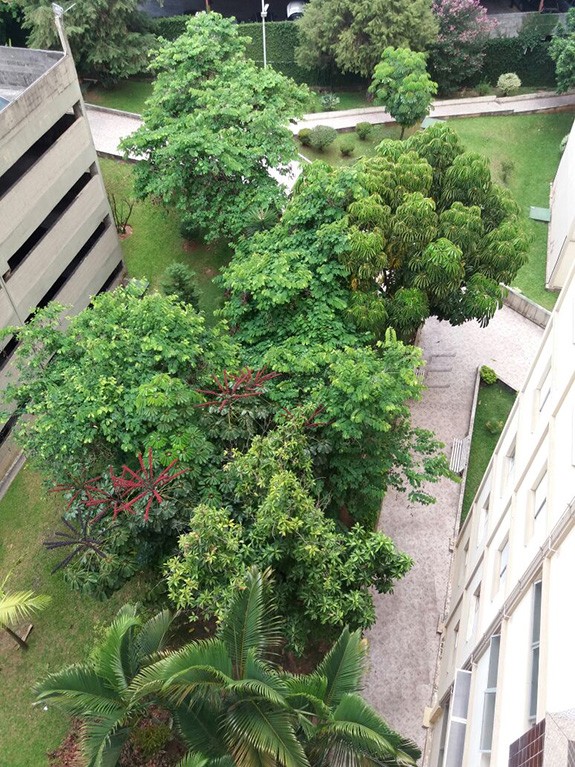 Apartamento de 58m² com 2 quartos em Limão