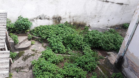 Terreno de 268m² em Santana