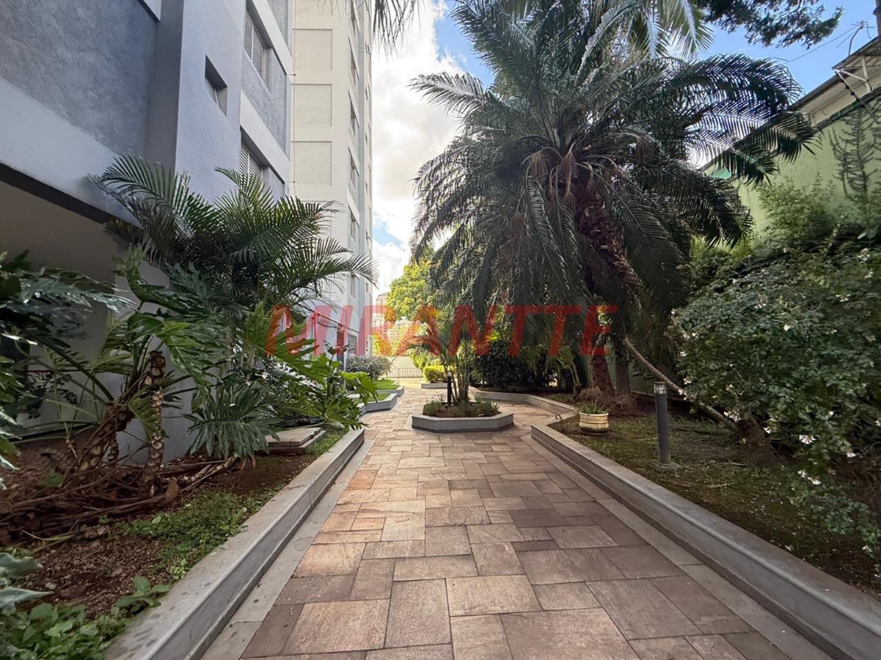 Cobertura de 147m² com 3 quartos em Água Fria