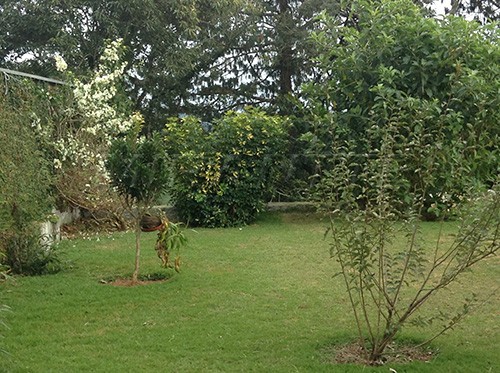 Casa terrea de 640m² com 3 quartos em Serra da Cantareira