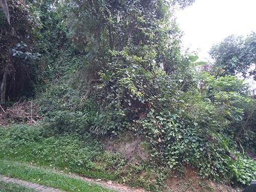 Terreno de 536m² em Serra Da Cantareira