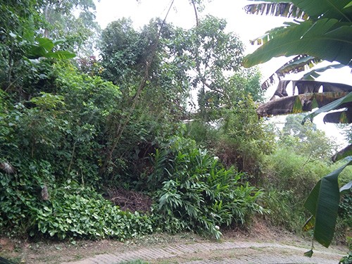 Terreno de 536m² em Serra Da Cantareira