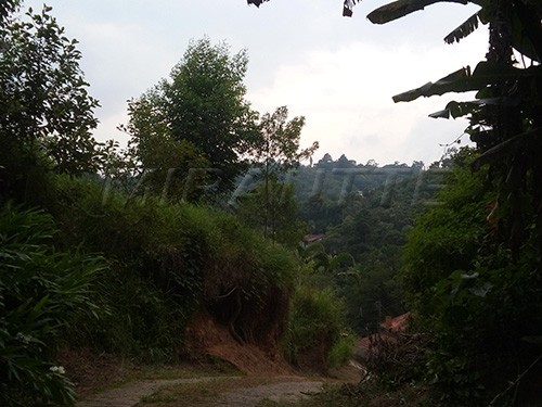 Terreno de 536m² em Serra Da Cantareira