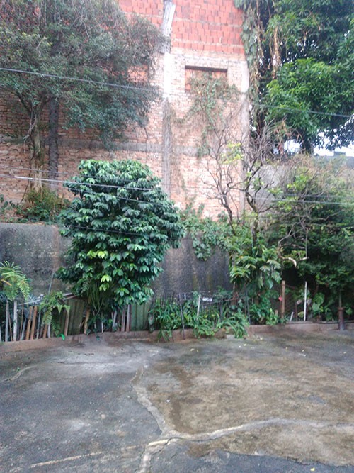 Casa terrea de 222m² com 3 quartos em Limão