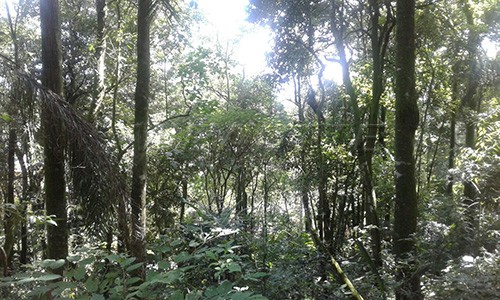Terreno de 890m² em Serra Da Cantareira