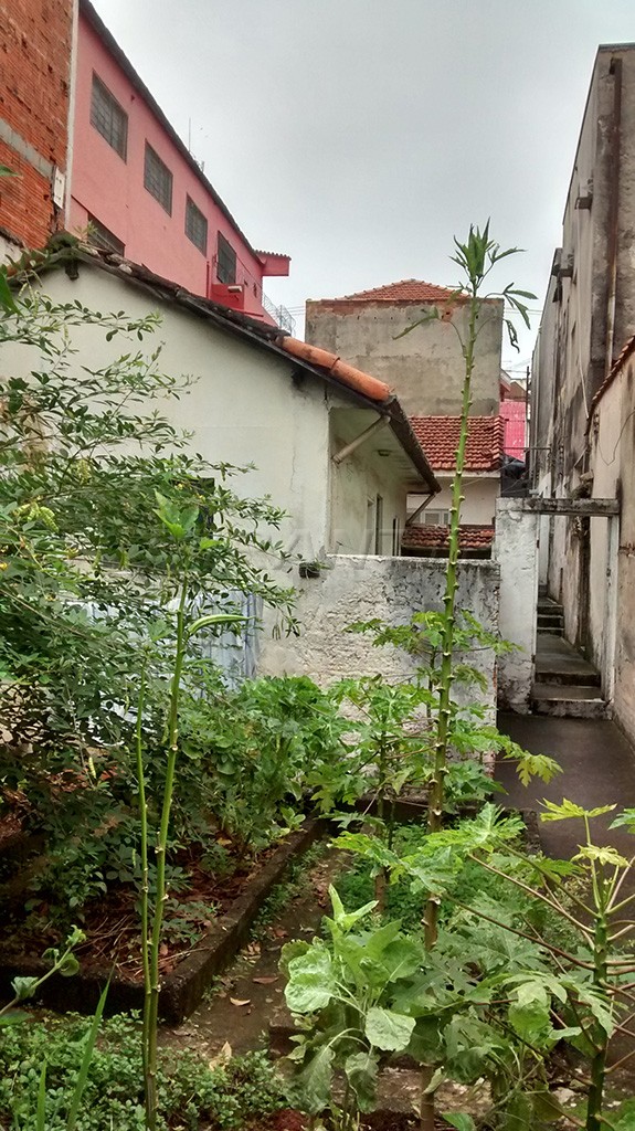 Comercial de 798m² em Casa Verde Alta