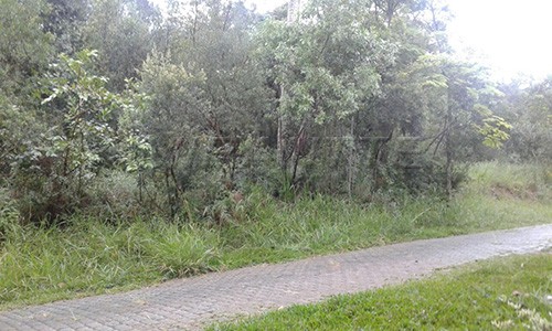Terreno de 6000m² em Serra Da Cantareira