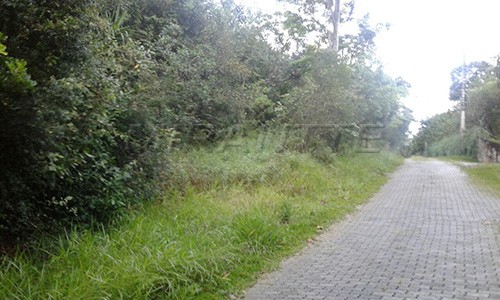 Terreno de 6000m² em Serra Da Cantareira