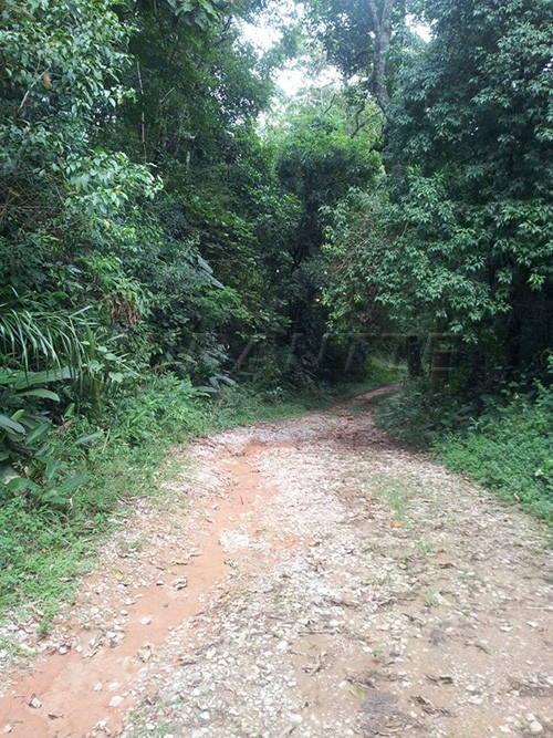 Terreno de 5.545m² em Serra Da Cantareira