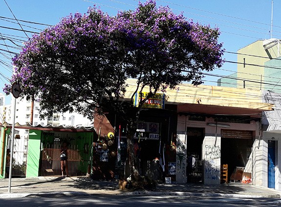 Casa terrea em Santa Teresinha