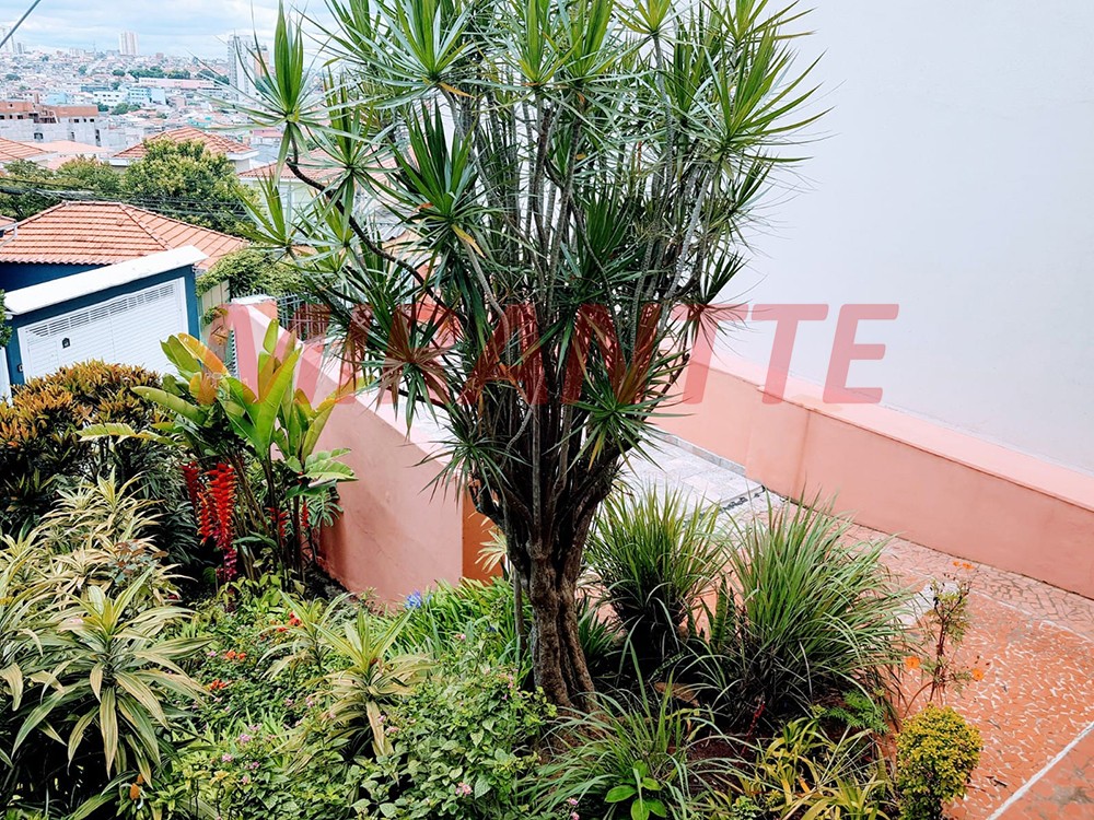Casa terrea com 3 quartos em Vila Gustavo