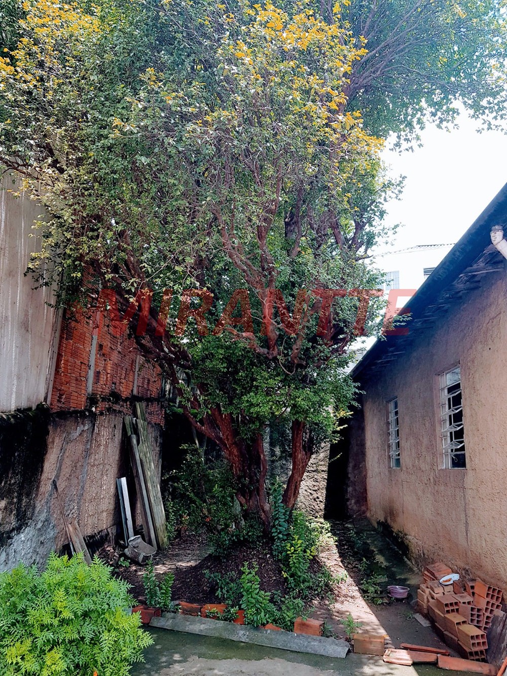 Casa terrea com 3 quartos em Vila Gustavo