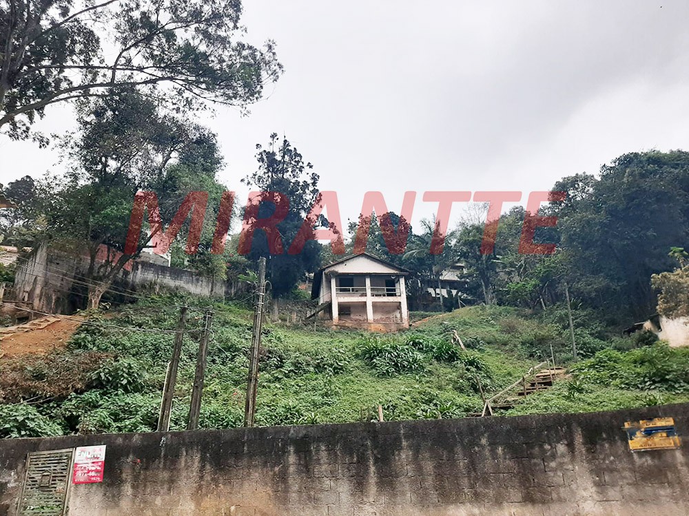 Terreno de 4800m² em Vila Albertina