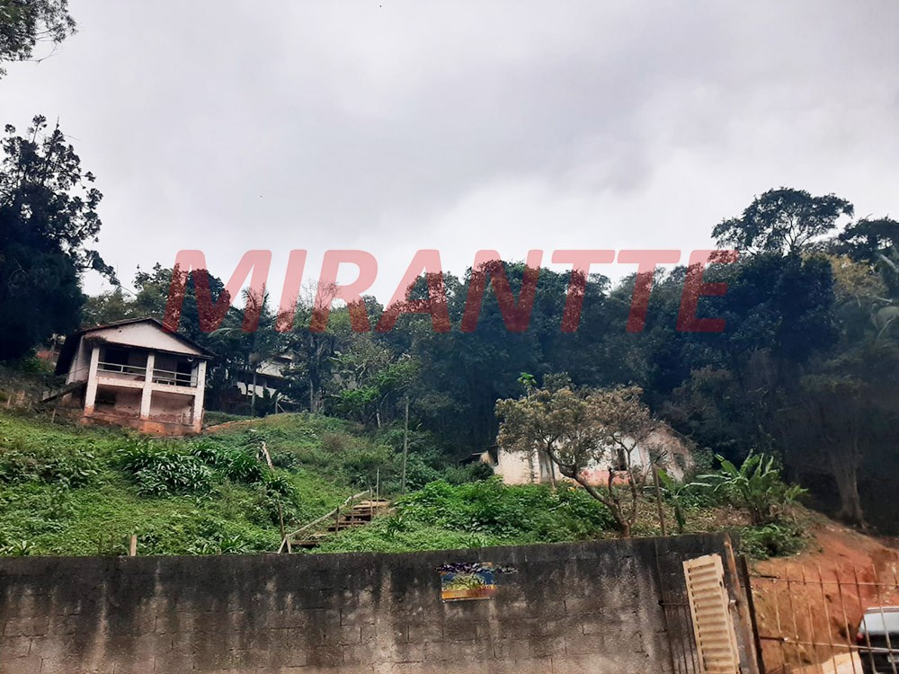 Terreno de 4800m² em Vila Albertina