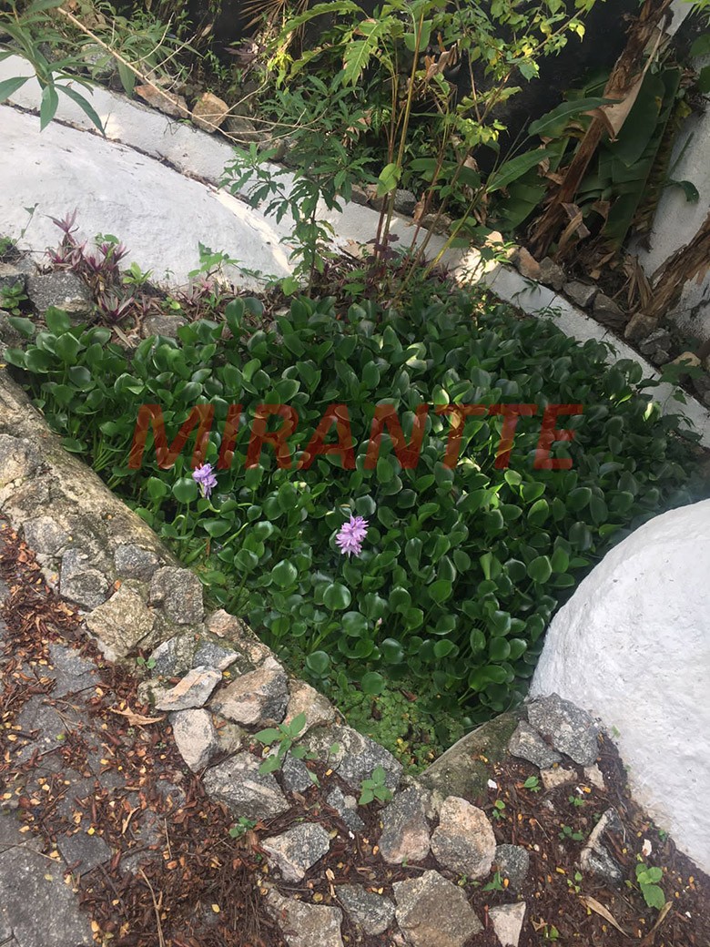 Sobrado de 300m² com 5 quartos em Horto Florestal