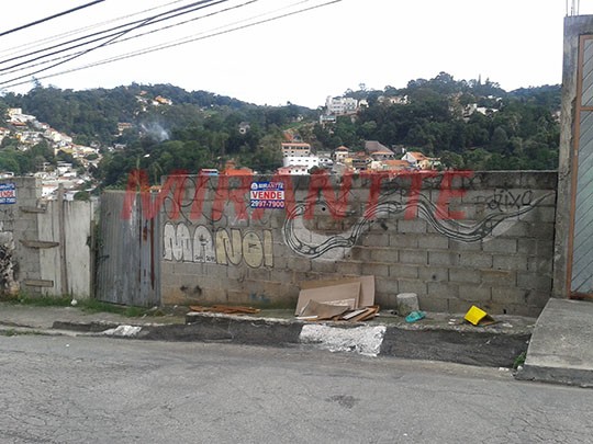 Terreno de 1000m² em Vila Albertina