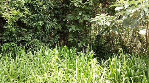 Terreno de 0m² em Serra Da Cantareira