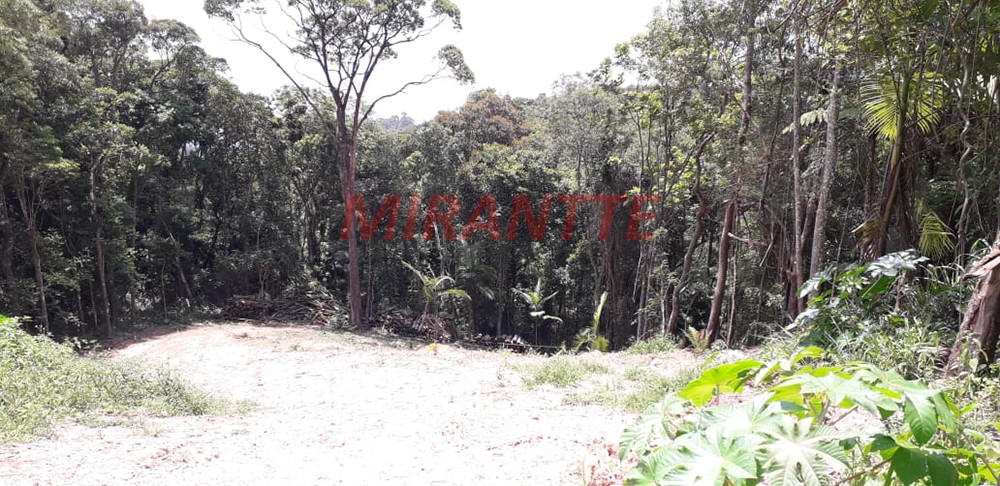Terreno de 1732m² em Serra da Cantareira