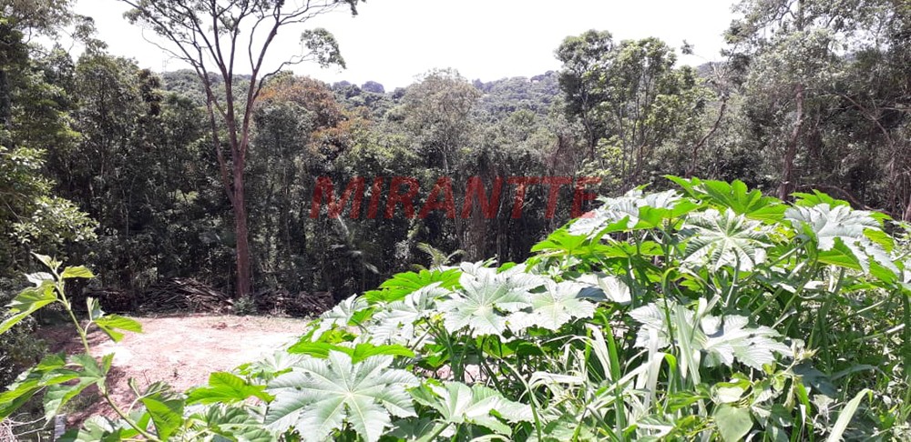 Terreno de 1732m² em Serra da Cantareira