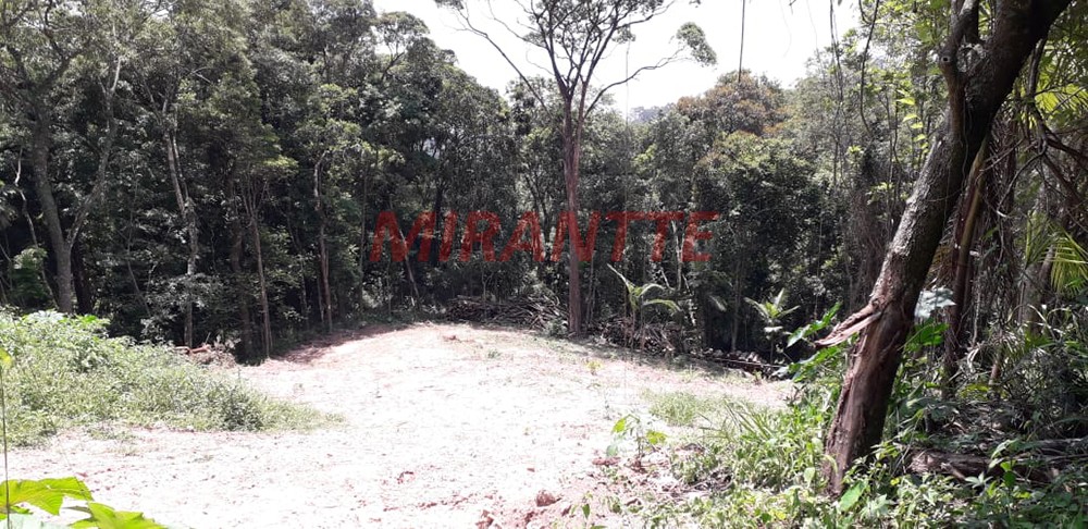 Terreno de 1732m² em Serra da Cantareira
