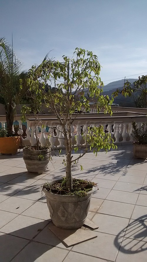 Sobrado de 800m² com 5 quartos em Serra da Cantareira