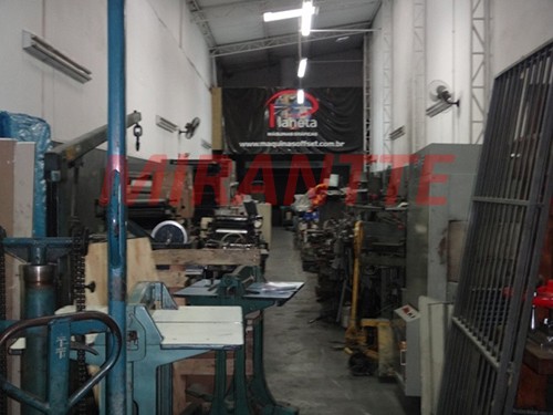 Comercial de 310m² em Belenzinho